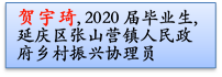 贺宇琦, 2020届毕业生, 延庆区张山营镇人民政府乡村振兴协理员